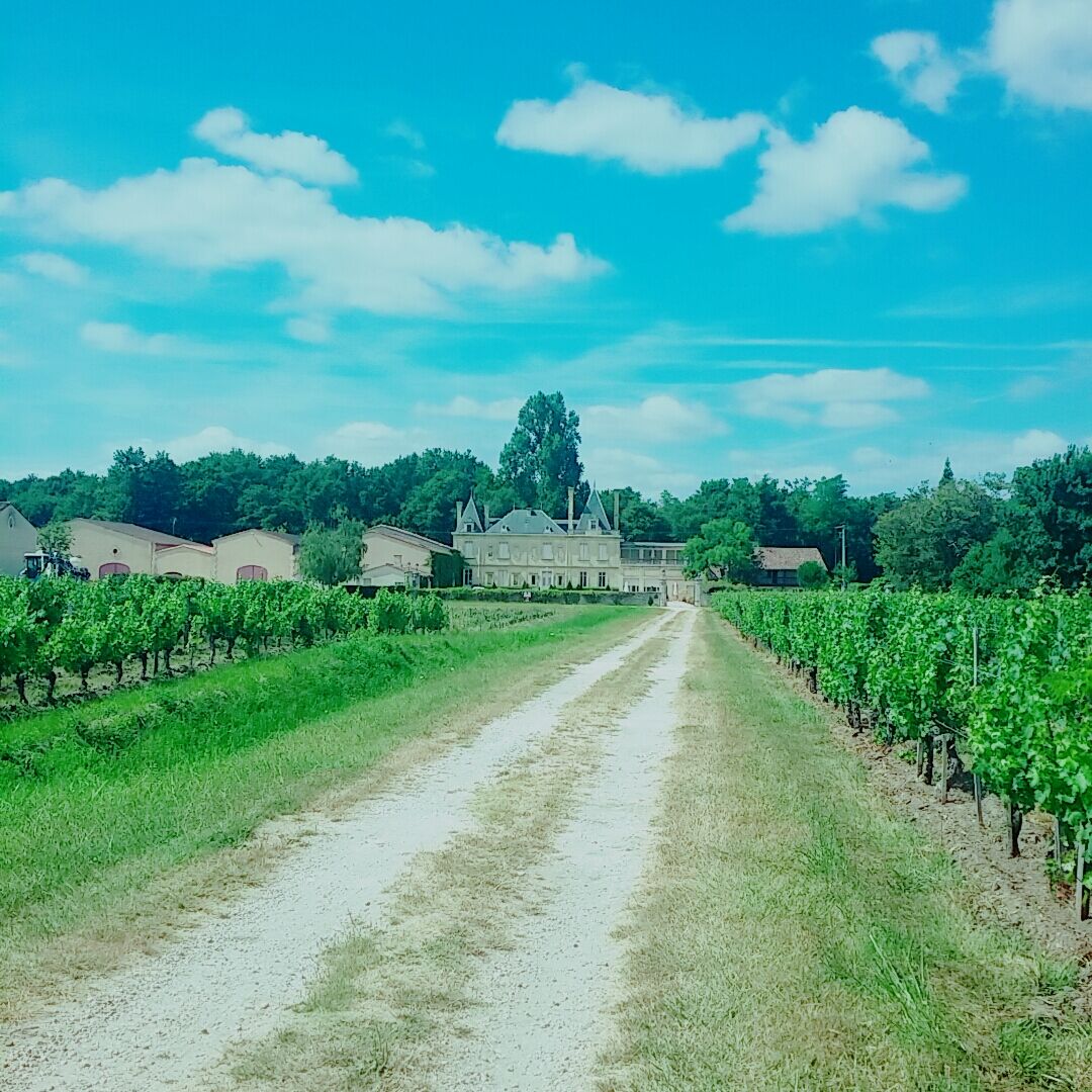 Chateau Meyre Avensan Luaran gambar